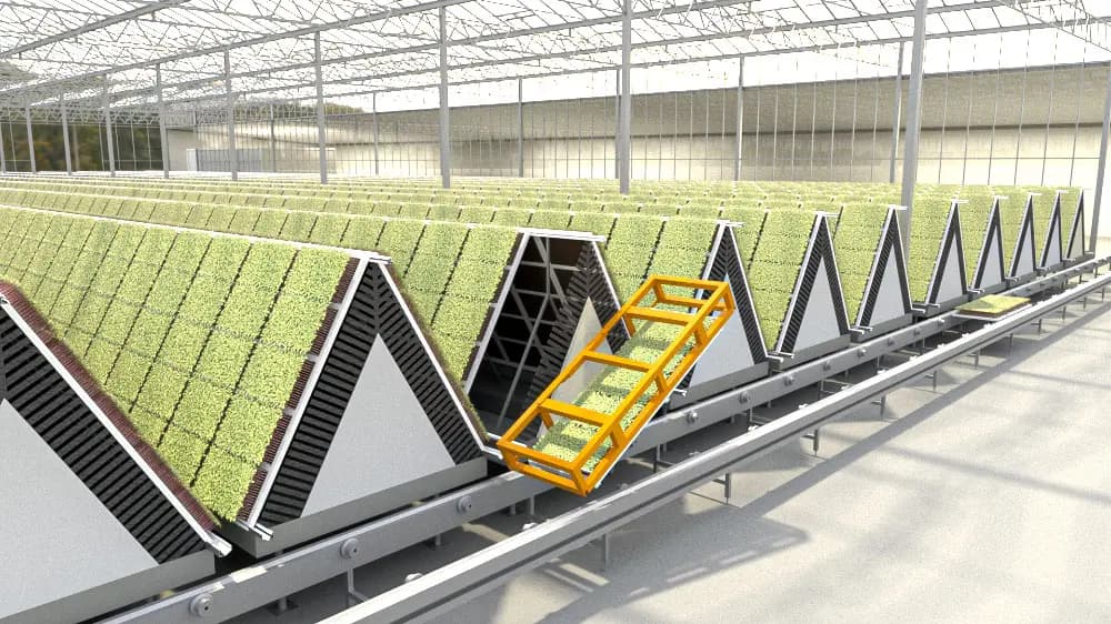 Automated aeroponic growing system